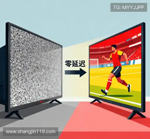 我们的市场领导力